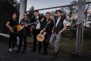 puentto concierto 9024